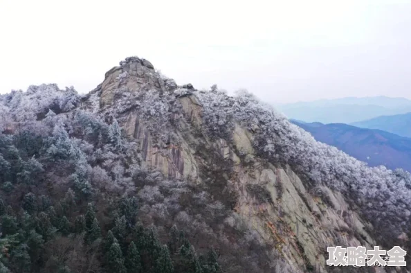 江南百景图琼花玉树如何获得？